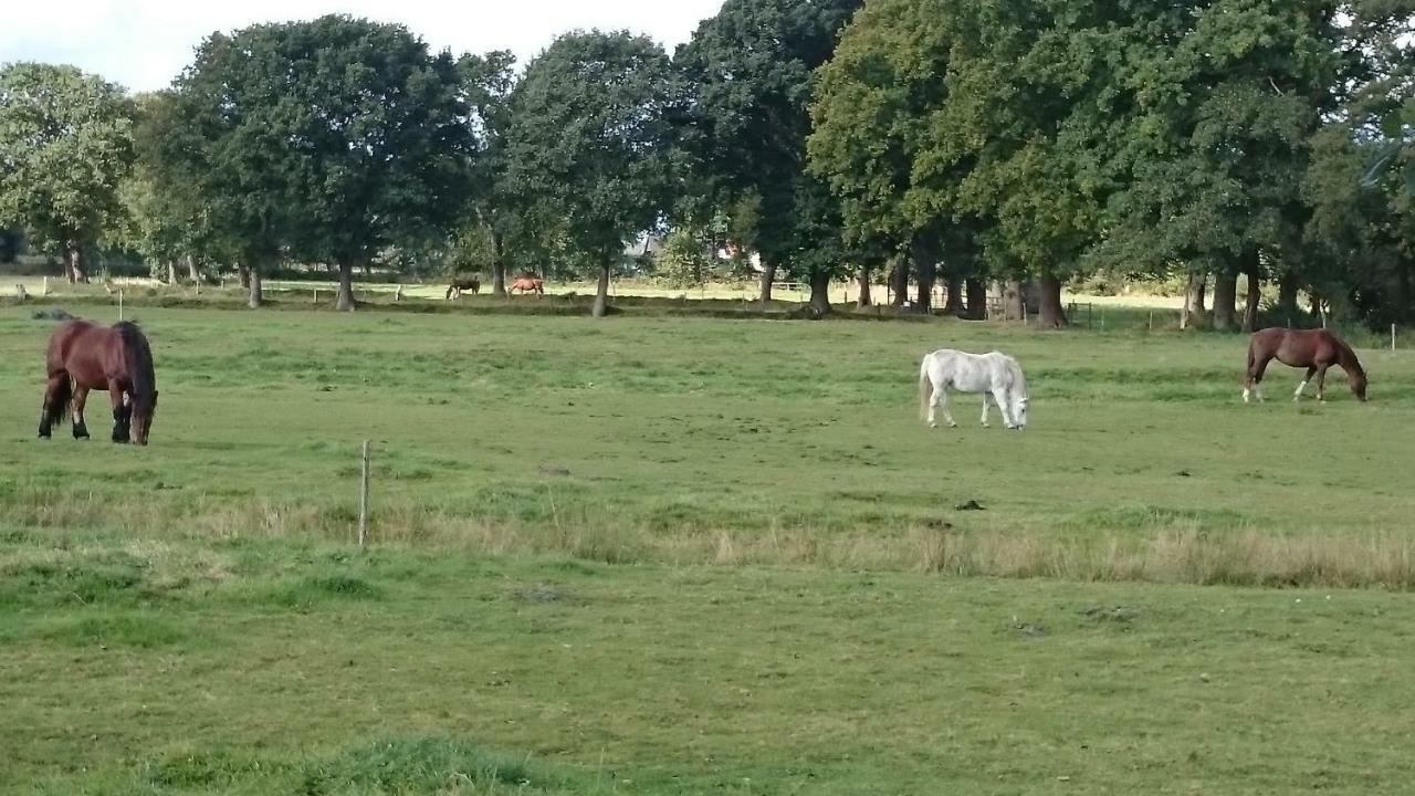 Gaestehaus Am Brockeswald Cuxhaven Dış mekan fotoğraf